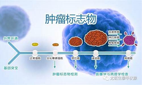 妇科肿瘤标志物检查多少钱一次_妇科肿瘤标志物筛查有意义吗