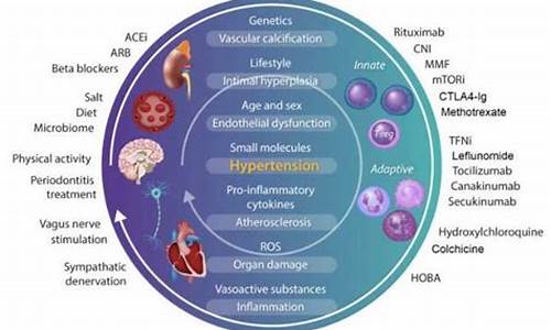 妇科炎症与高血压_妇科炎症与高血压有关系吗