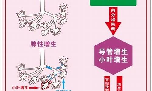 乳腺增生治疗偏方_乳腺增生治疗