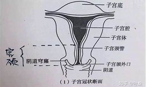 宫颈疾病有哪几种症_宫颈疾病包括什么