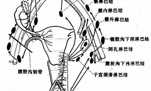 妇科炎症与淋巴结肿大_妇科炎症和淋巴结肿大有关吗?