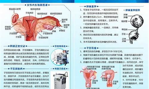 妇科炎症的常见疾病_妇科炎症的常见疾病有哪些