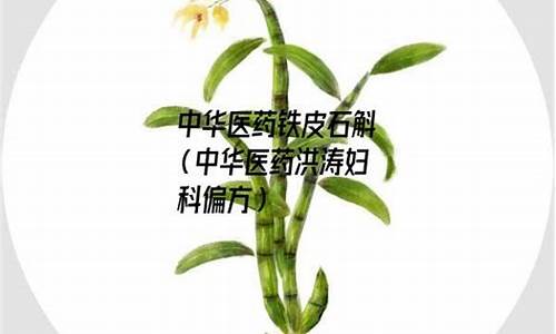 中华中医药学会妇科分会_中华医药妇科炎症