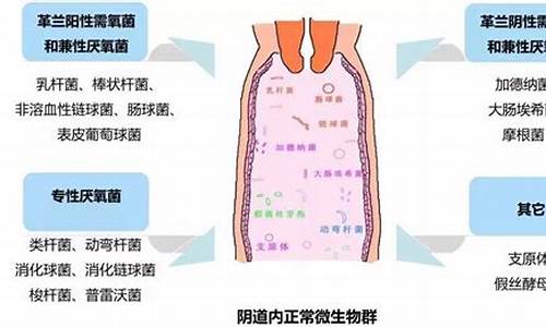 妇科炎症的成因_妇科炎症的诱因