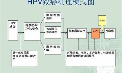 宫颈疾病的发病原因_宫颈患病原因